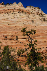 Patterns in the sandstone strata