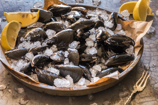 Mussels on Ice