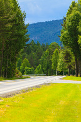 Road landscape in norwegian mountains