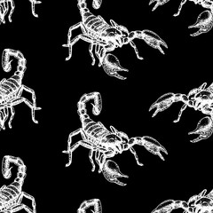 Hand drawn seamless pattern with scorpion. Background design.