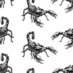 Hand drawn seamless pattern with scorpion. Background design.