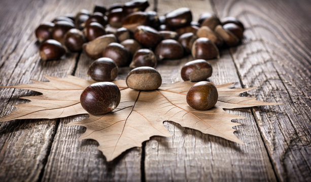 Chestnut on wooden background
