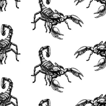 Hand drawn seamless pattern with scorpion. Background design.