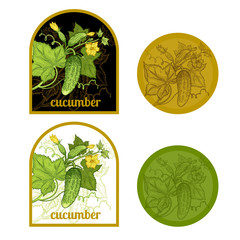 Set of labels with the image of a cucumber. © marinavorona