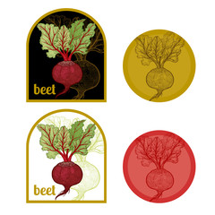 Set of labels with a picture of beet. © marinavorona