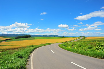 Rural Road at Countryside of Japan  - 126061923