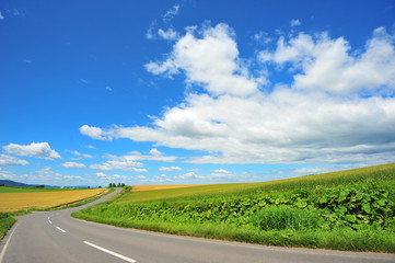 Rural Road at Countryside of Japan 