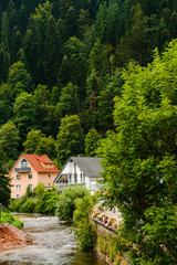 Fototapeta na wymiar two houses by the river surrounded by forest, black forest, Germany