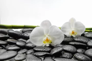 Keuken spatwand met foto Witte orchidee met zwarte stenen, bosje op natte achtergrond © Mee Ting