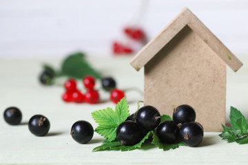 currant berry on wooden table