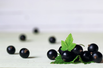 black currant berry background