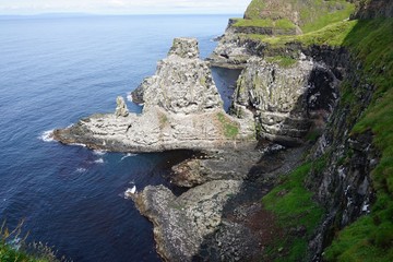 Landschaft mit tausenden Lummen und anderen Seevögeln auf Rathlin Island / Nordirland 