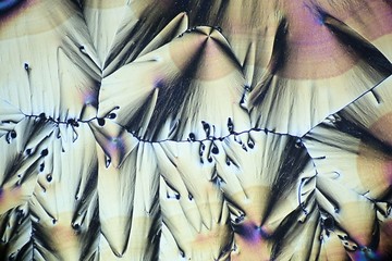 Fototapeta na wymiar Crystals of ascorbic acid, vitamin c, microscope image
