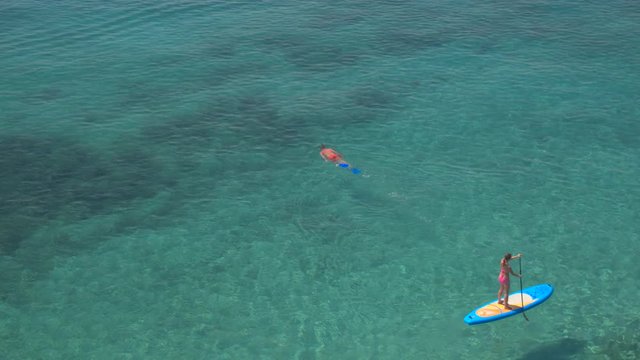 AERIAL: Young woman on SUP board paddling past man snorkeling in tropical ocean