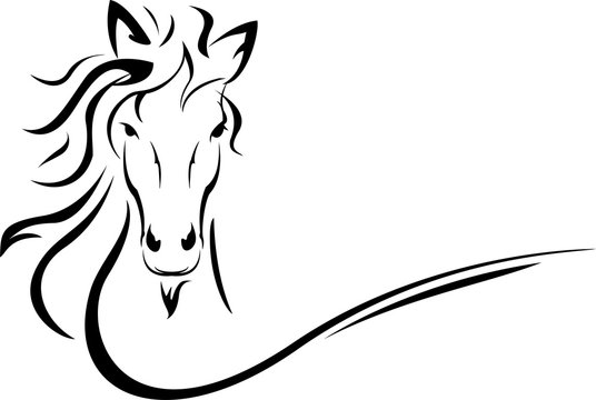 Horse Tattoo Drawings for Sale - Pixels