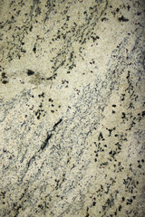 white marble with colored circular patches