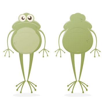 Funny Clipart Of A Frog