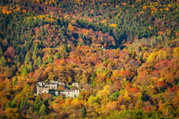case immerse nel bosco in autunno