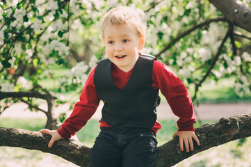 portrait of toddler boy sitting on cherry tree on the walk in spring garden or park