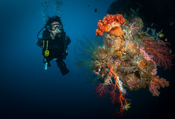 Woman diver approaches corals on wall dive in Tulamben, Bali, Indonesia