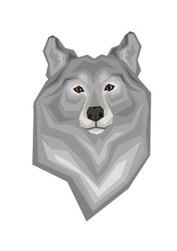 Head of a grey wolf.  Vector image of a predatory animal. Isolated on a white background.