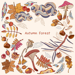 Romantic autumn card. Hello Autumn. Acorns, berries