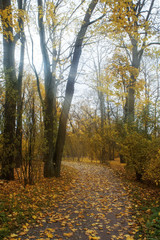 Fototapeta premium Autumn day