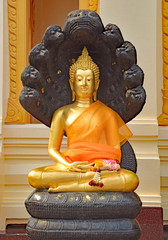 Meditierender Buddha von Nagas beschützt
