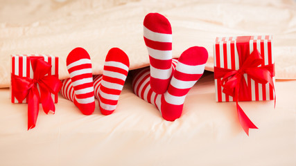 Fototapeta premium Christmas Xmas Family Holiday Winter