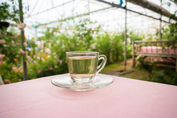 Tea time in the garden