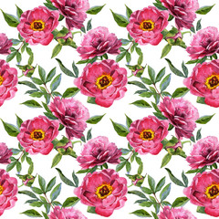 Wildflower peony flower pattern in a watercolor style isolated.