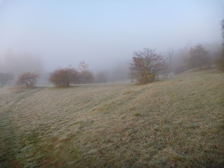 Obraz na płótnie Canvas misfy frosty autumn morning in the nature