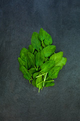 Fresh green spinach leaves isolated on dark gray slate stone bac