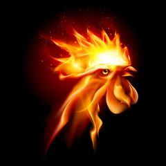 Fire Rooster © Dvarg