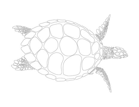 turtle vector symbol