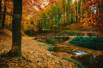 Papier Peint photo Lavable Automne Bridge over the stream in autumn forest