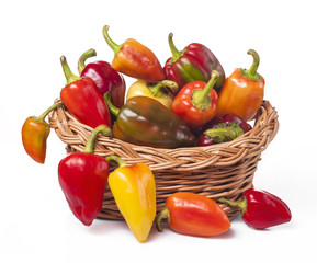 on white background harvest vegetables colorful peppers