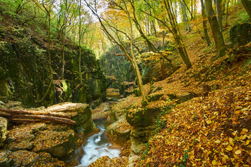 Autumn flowing stream