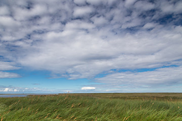 View over grassland on cloudy day at baltic sea (Pramort, Zingst