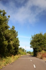 Fototapeta premium Randonnée aux alentours du village de Don Pedro