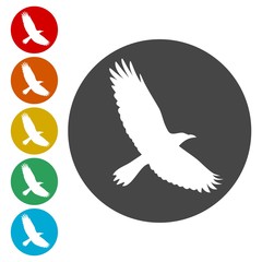Crow icons set 