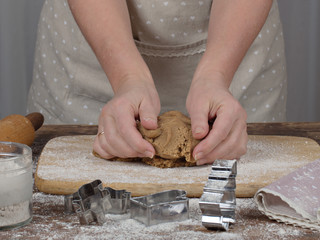 Woman's hands preparing dough for gingerbread cookie