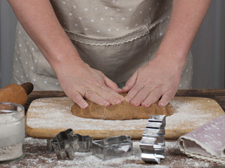 Woman's hands preparing dough for gingerbread cookie