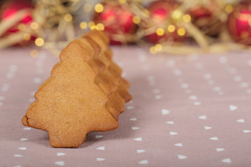 Christmas homemade gingerbread cookies and xmas lights