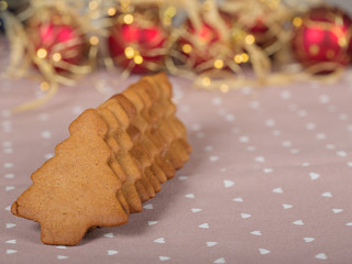 Christmas homemade gingerbread cookies and xmas lights