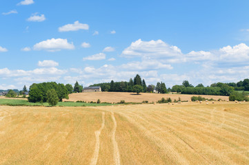 Fototapeta na wymiar Agriculture landscape in France