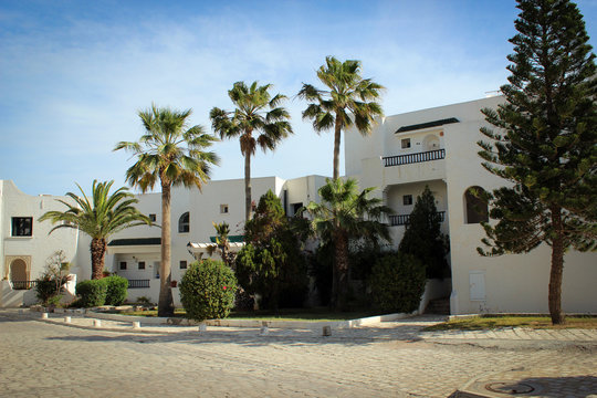 White houses and green palms of Sousse, Tunisia