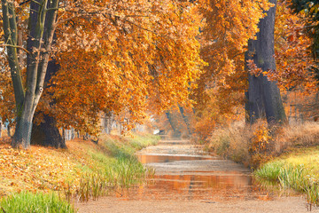 Fototapeta na wymiar Kanal im Park mit bunten Herbstbäumen, Herbst im Sonnenlicht