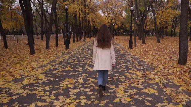 teen girl is in the park in autumn.