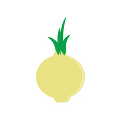 Onion flat icon